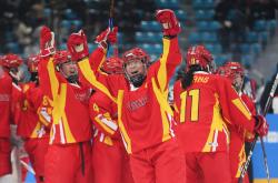 开云体育平台APP-包含世界赛舞台，冰球代表国家出征荣耀的词条