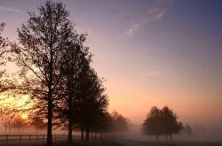 开云体育中国-史诗之战与孤独传奇，当德国鏖战印度，安赛龙正刷新历史