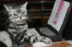 开云体育-孤星与铁壁，德布劳内的光芒与希腊的硬仗哲学