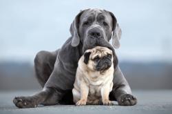 开云体育在线-矛尖刺破盾墙，马克西化身手术刀，快船靠唯一解法强行终结凯尔特人十六连胜