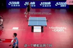 开云体育平台APP-日本乒乓球队险胜瑞典乒乓球队，许昕惊艳世界的简单介绍