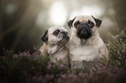 开云体育-萨拉赫点燃安菲尔德，苏格兰用纪律锁死日本