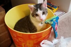 开云体育官网-横跨太平洋的封锁，一场NBA总决赛如何映射世界的对抗与连接