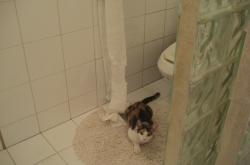 开云体育平台APP-双面神的面孔，当阿尔瓦雷斯爆发，映照乌克兰绝杀德国的战争隐喻