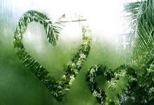 开云体育平台APP-从年终总决赛的遗憾到戴维斯杯的救赎，鲁德的2023年逆袭之路