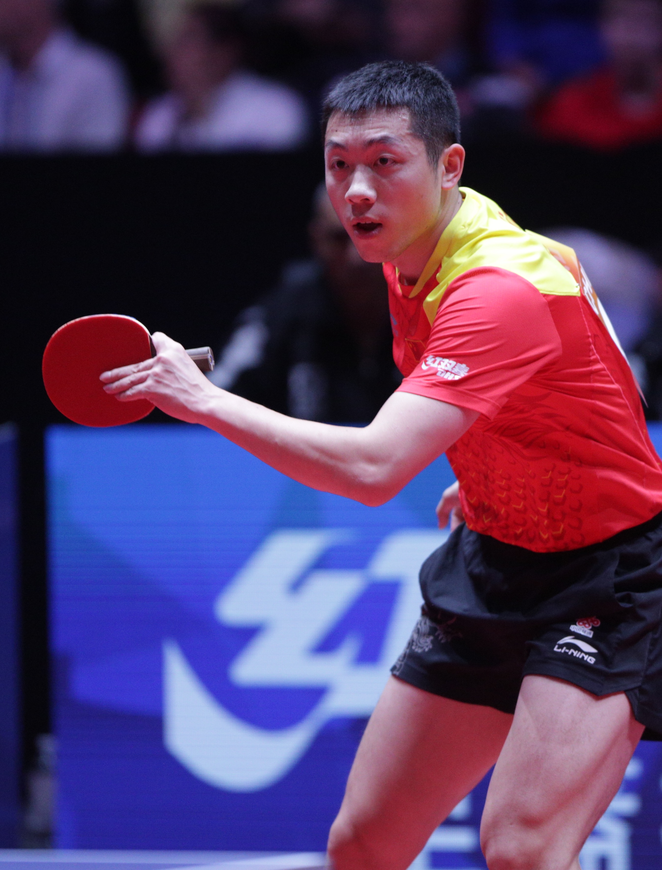 法国乒乓球队完胜中国乒乓球队，许昕打破历史纪录的简单介绍