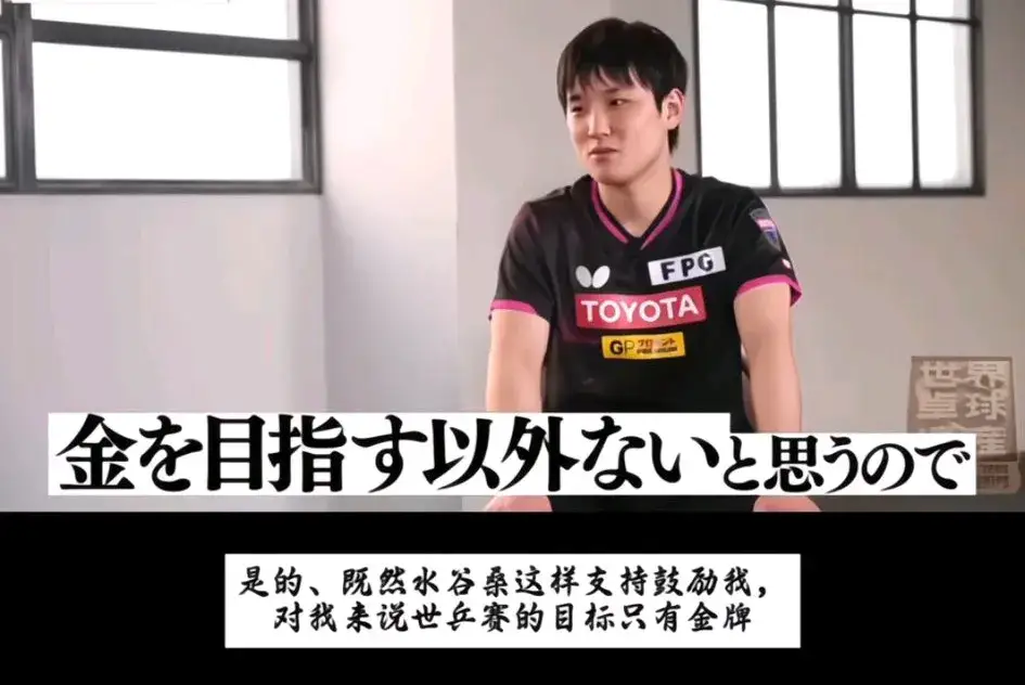 波兰乒乓球队绝杀德国乒乓球队，水谷隼关键制胜的简单介绍