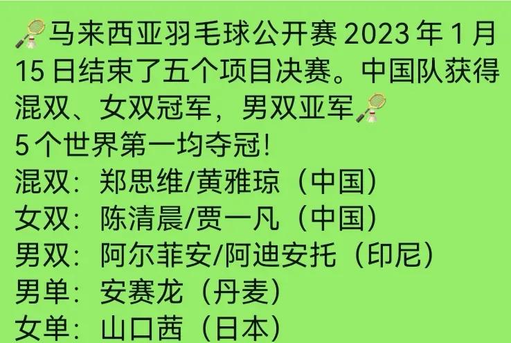 马来西亚羽毛球队鏖战韩国羽毛球队,李宗伟送出助攻 马来西亚羽毛球队鏖战韩国羽毛球队,李宗伟送出助攻