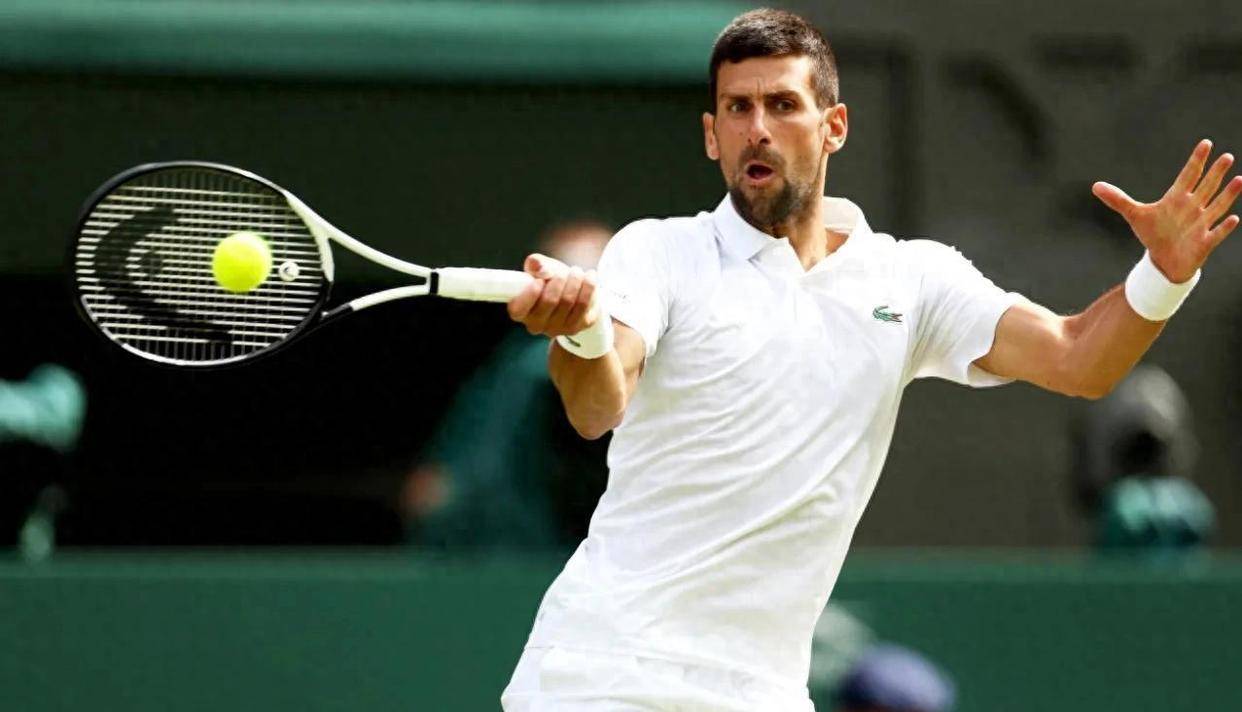 世界网球队翻盘德国网球队，德约科维奇惊艳世界的简单介绍