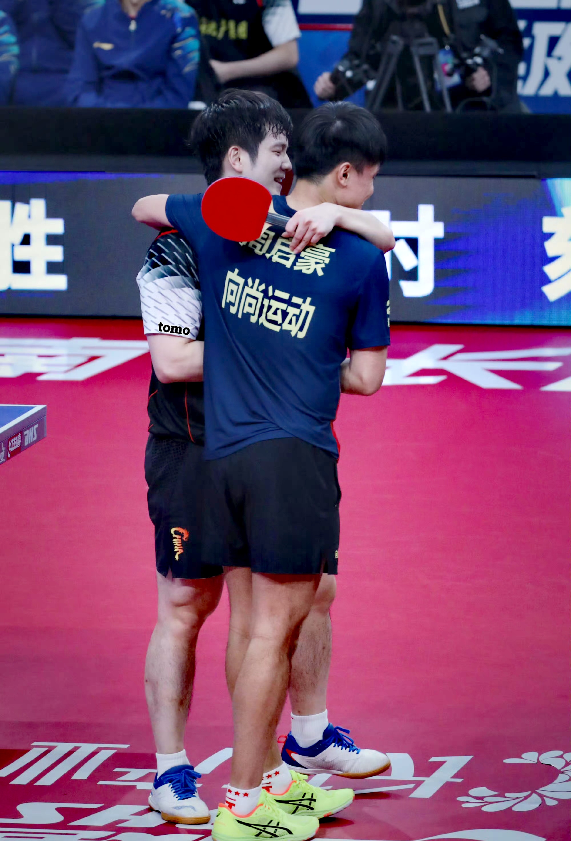 波兰队碾压韩国队，樊振东高光表现