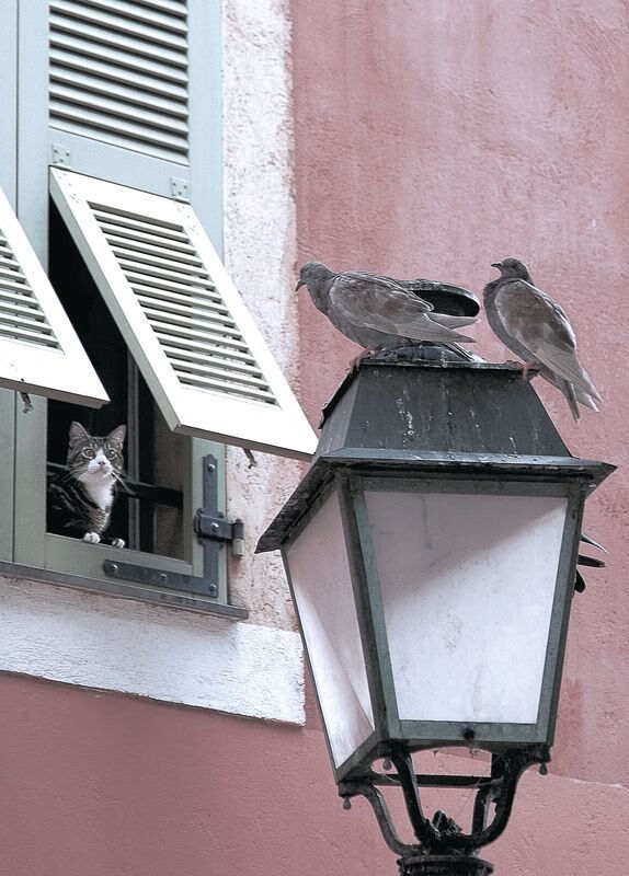 跨界交响，从电竞战场到乒乓热土—当韩国队横扫瑞典队的锋锐遇见许昕带队取胜的厚度