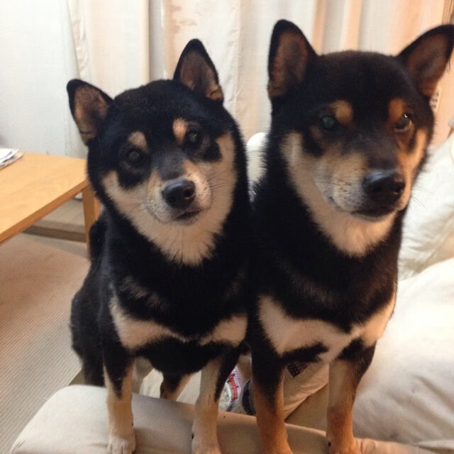 双重荣耀，当联合杯绝杀成为ATP总决赛的预言，鲁德跨越时空的关键制胜