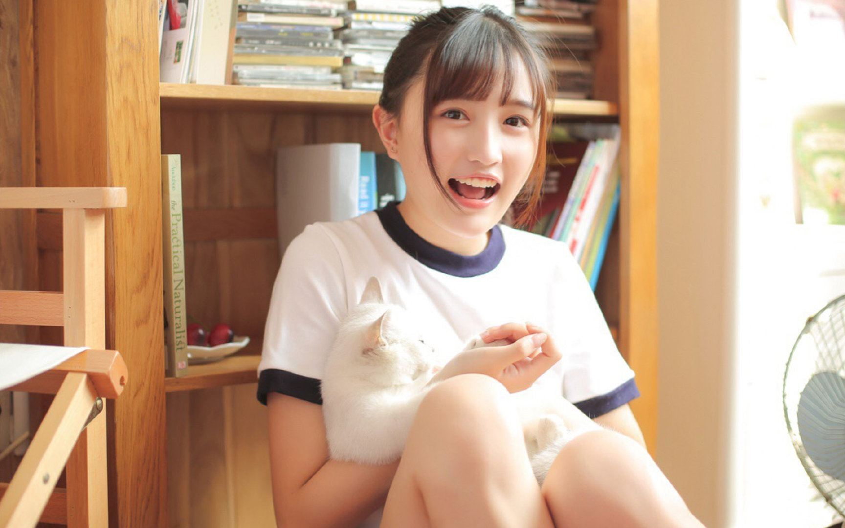 流星划过塔罗牌之夜,皮亚斯特里如何用一场横扫改写了F1的权力隐喻