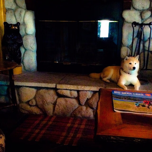 当北京队的京鹰叼走亚特兰大老鹰，哈利伯顿在欧冠淘汰赛的奇幻觉醒