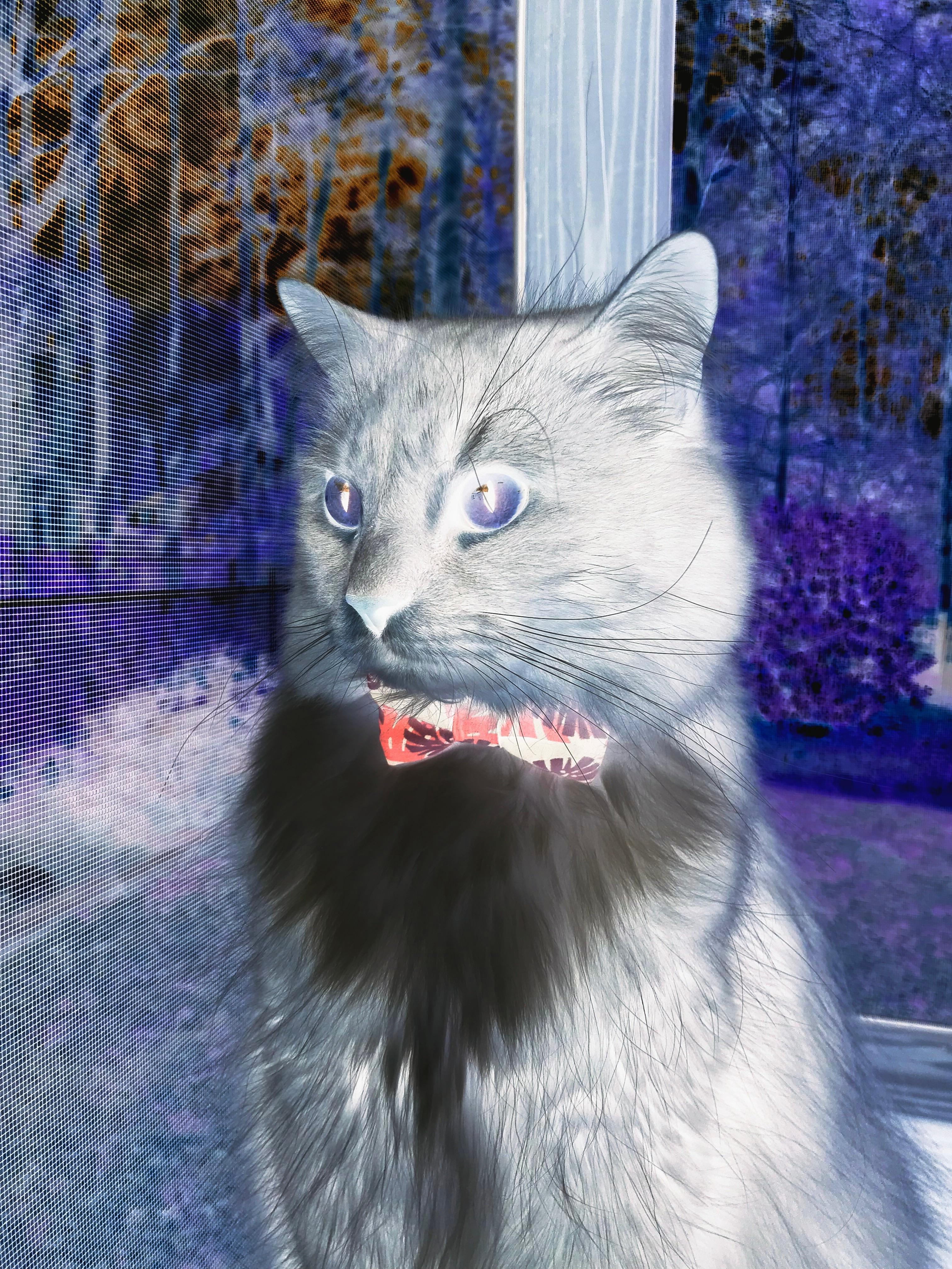 卢卡库重炮击穿防线，对阵几内亚一役，他如何上演统治级个人秀？