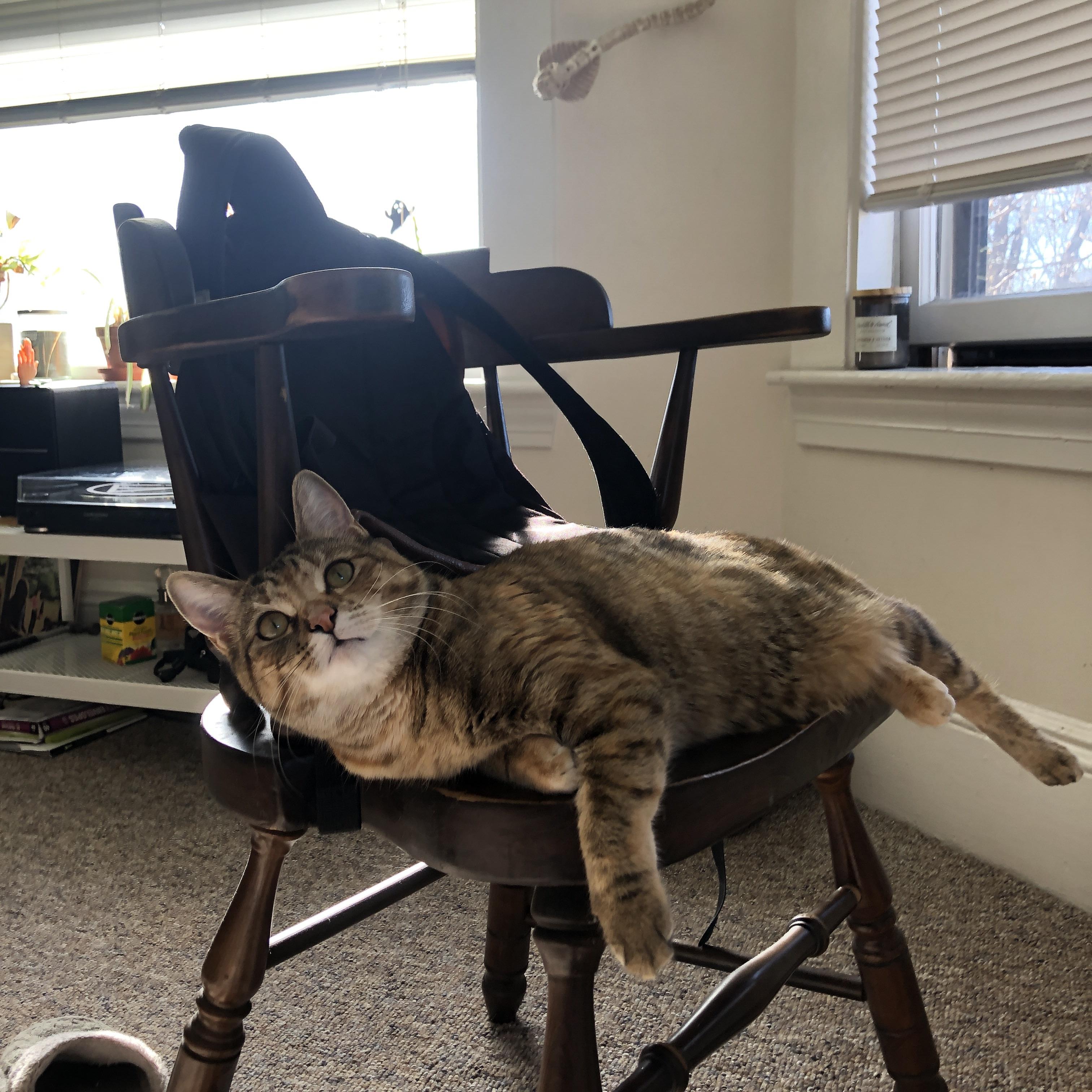 黄蜂脆败夜,魔术师文班亚马却用看表时刻征服达拉斯