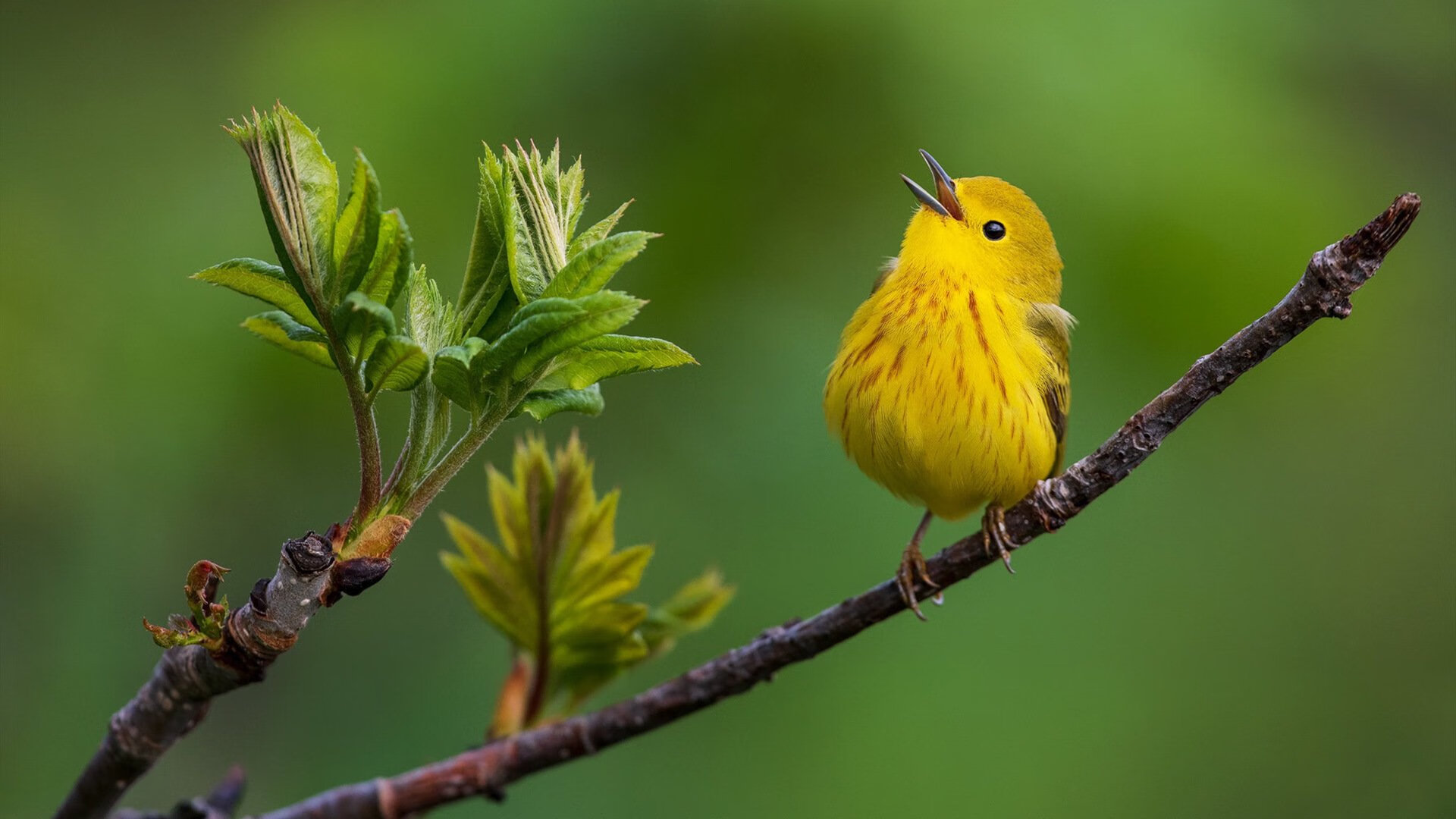 唯一性的夜晚,奥运周期关键战,乔治的三张纸条与一座里程碑