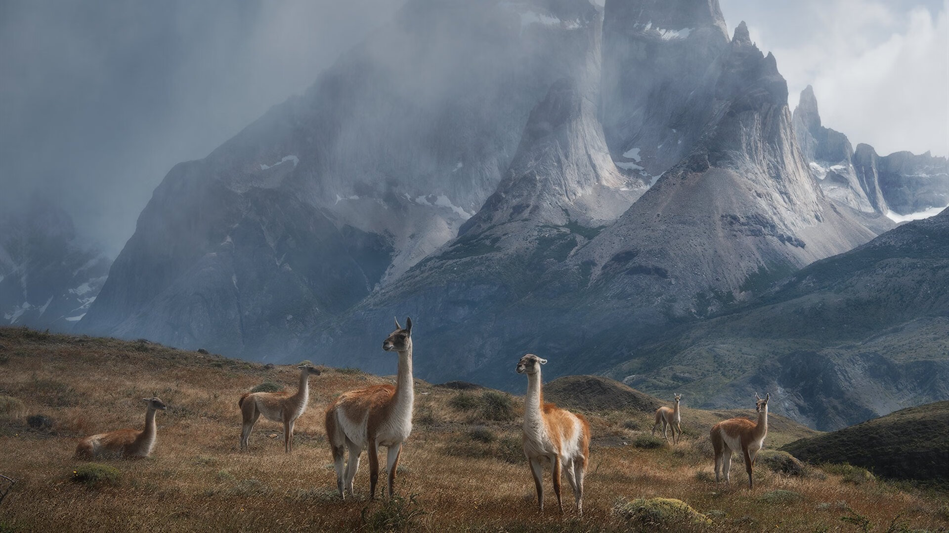 127秒，从喧嚣到死寂，努涅斯在分秒之间接管欧冠决赛