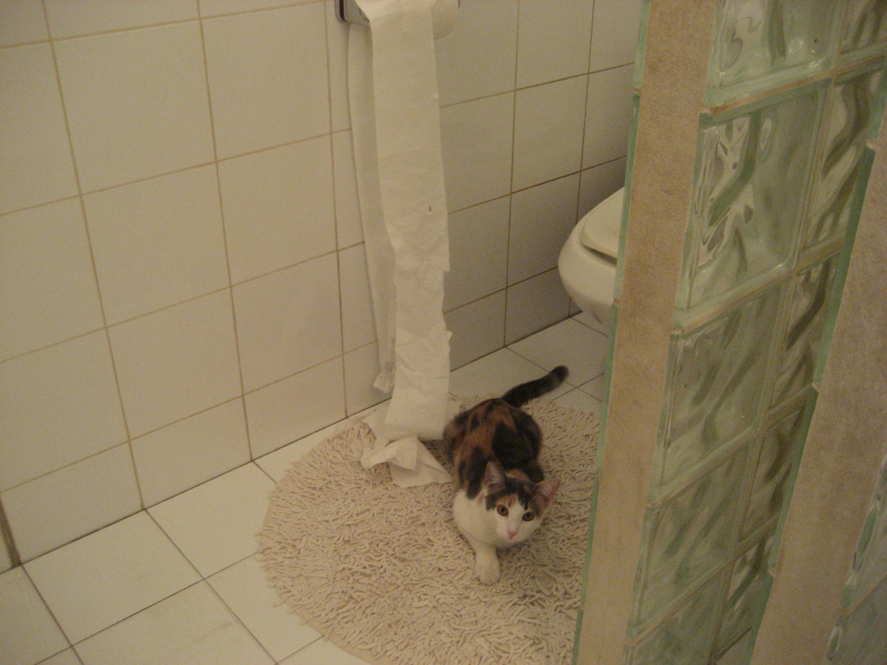 双面神的面孔,当阿尔瓦雷斯爆发,映照乌克兰绝杀德国的战争隐喻