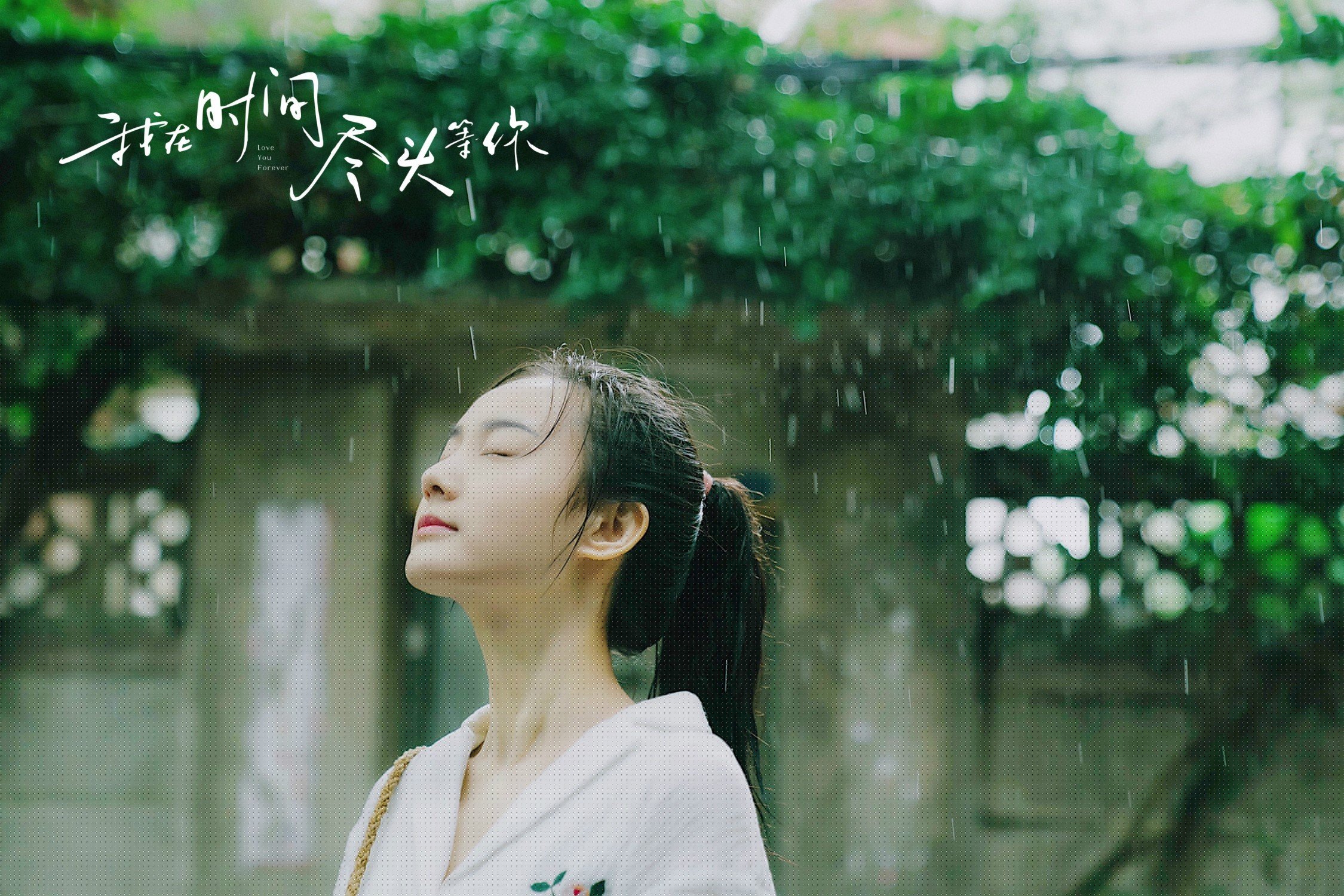 武切维奇的重剑,当古典技艺点燃猛龙逆袭之火