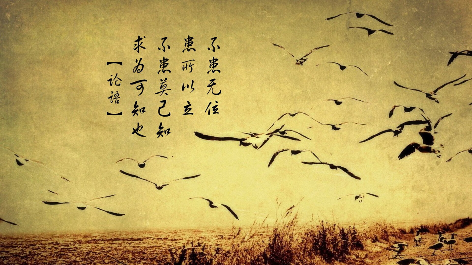 数据与灵魂的对决,当76人拿下辽宁队,塔图姆在季后赛接管比赛