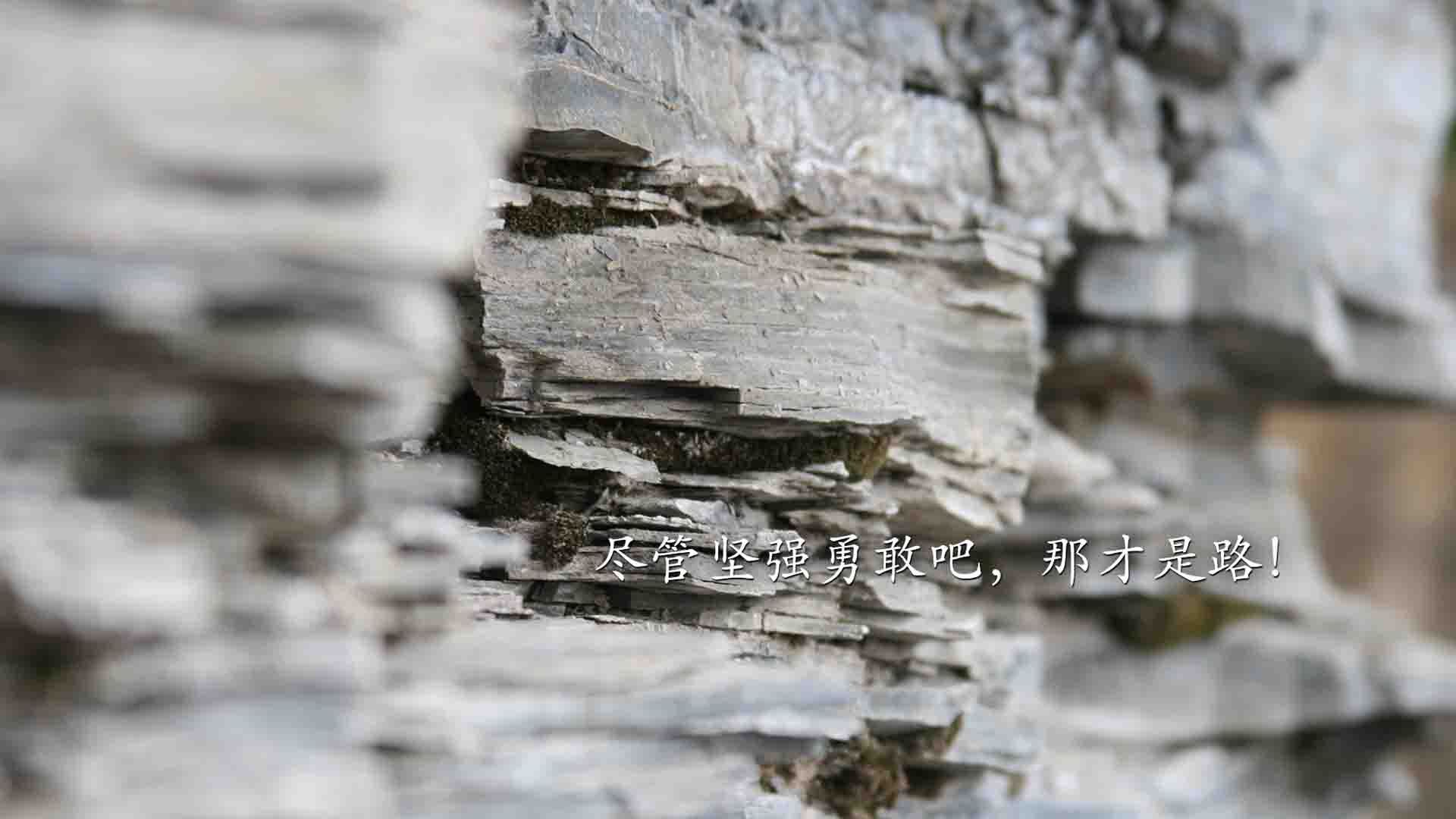 一瞬千秋,2026世界杯,卢卡库的致命一击如何让乌拉圭在绝杀中重写宿命