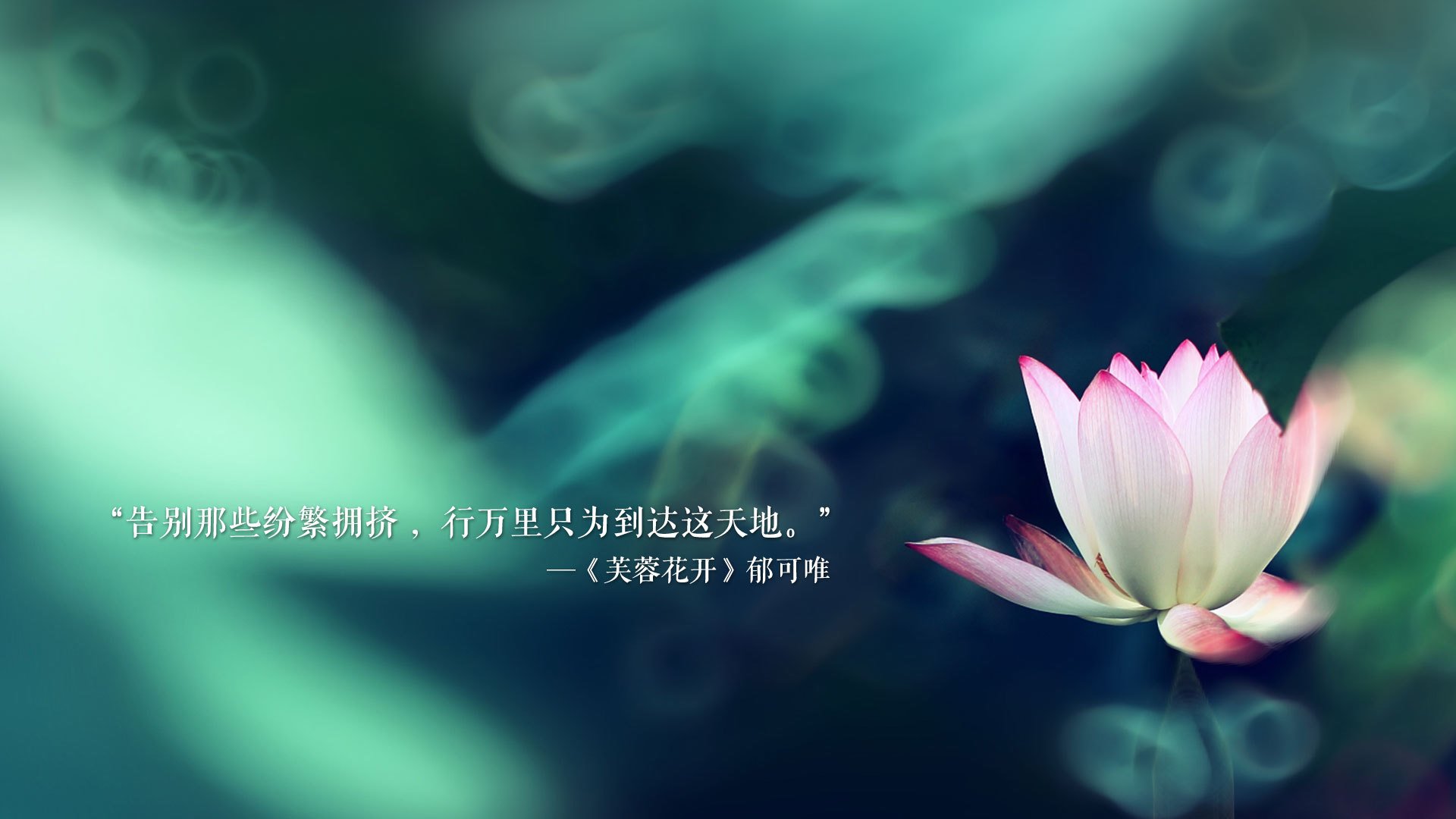 宿命的轮回，2026世界杯历史重演关键战，阿联酋险胜比利时，罗德里戈带队书写新篇