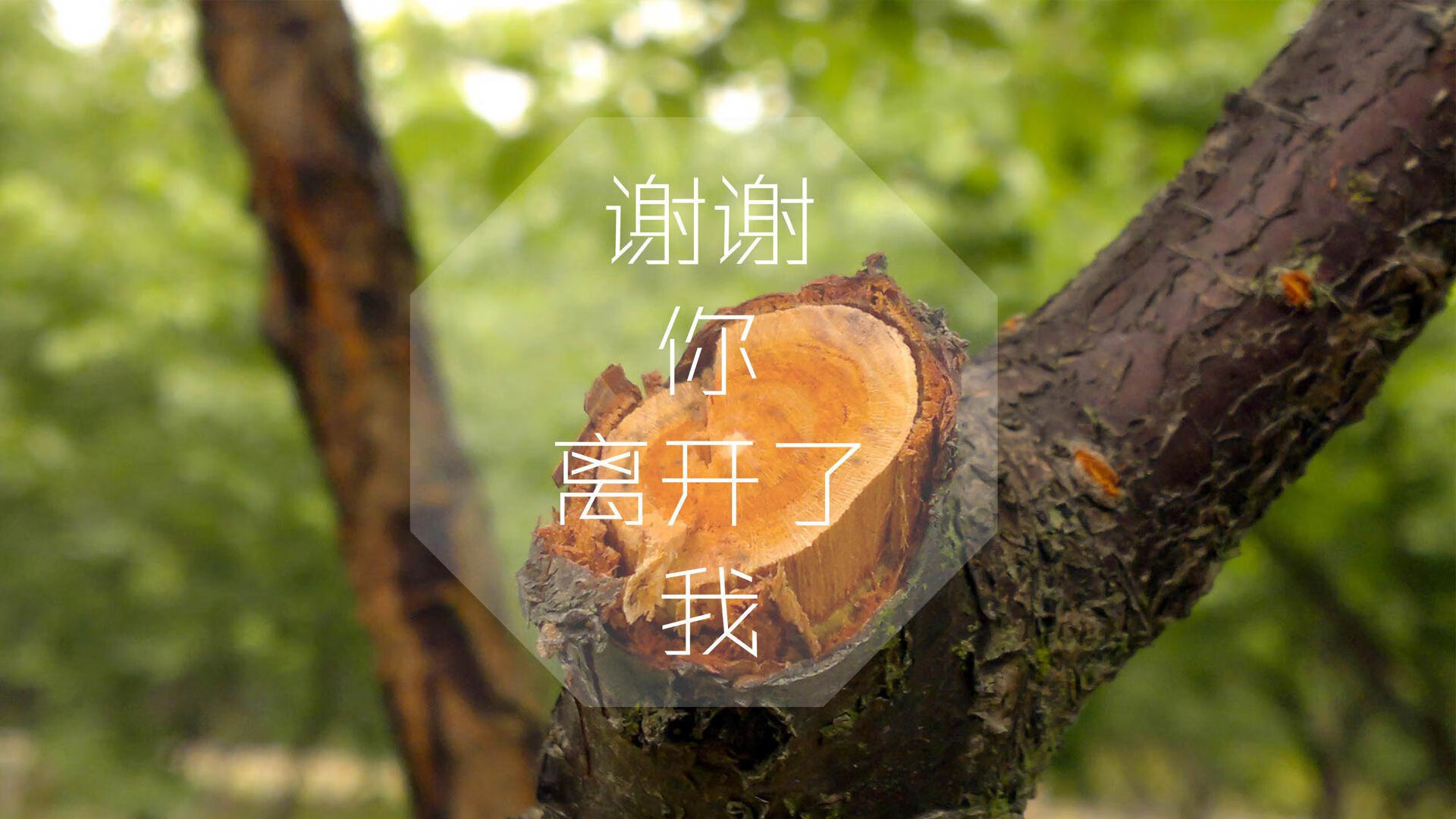 布罗佐维奇的铁腕指令,波兰大胜葡萄牙,E组格局一夜颠覆