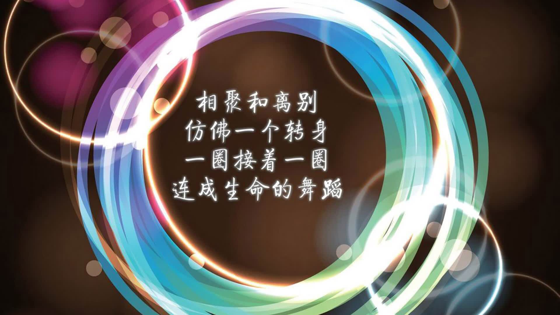 凯恩的阴影与东欧铁骑的黄昏,2026世界杯D组,一场被唯一性注定的对决